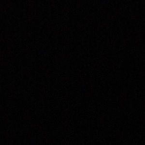 Meet your Posher, Griffin